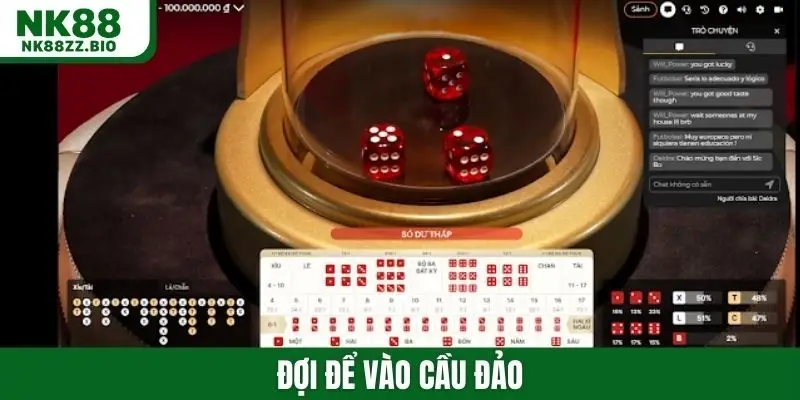 Đợi để vào cầu đảo