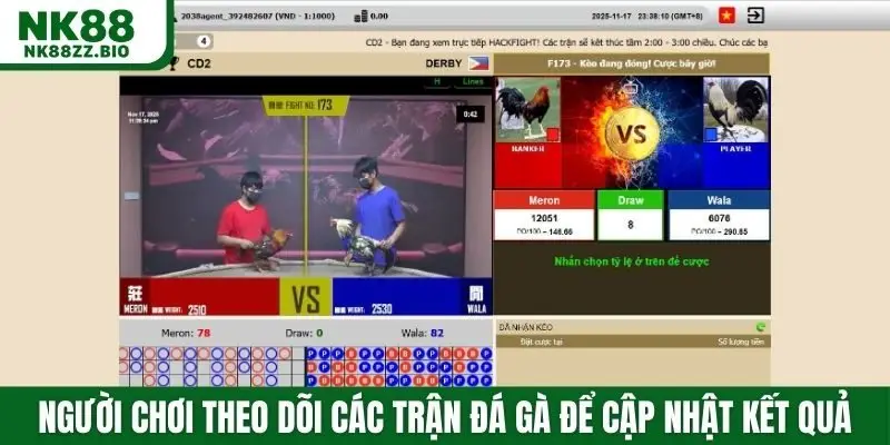 Người chơi theo dõi các trận đá gà để cập nhật kết quả nhanh